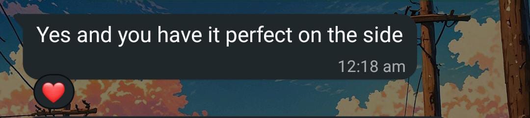Client Feedback Screenshot 2